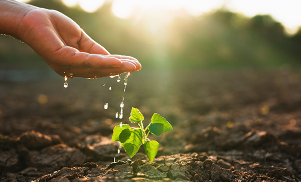 Natural Resource Conservation
