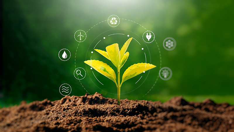 Webinar on World Environment Day